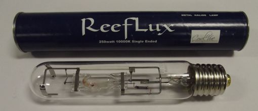 Reeflux se pic